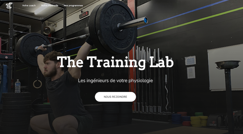 screenshot of thetraininglab.com